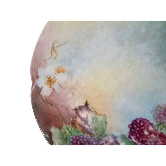 Antique J&C Louise Bavaria 1898-1923 Raspberry Black Berry Fruit Blossom Plate - Picture 3 of 12